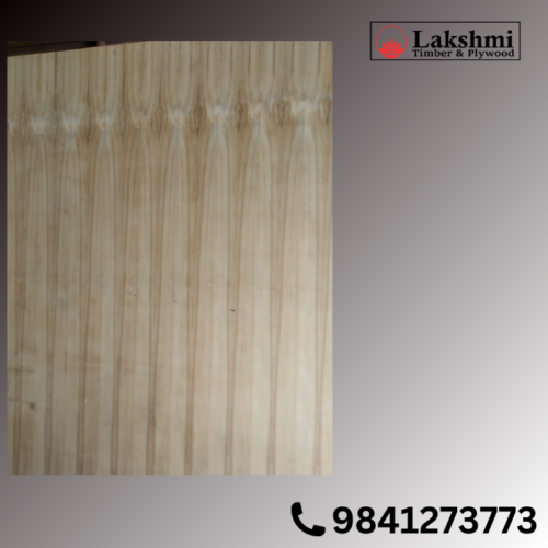 Veneer Ply